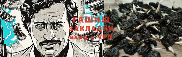 скорость Алзамай