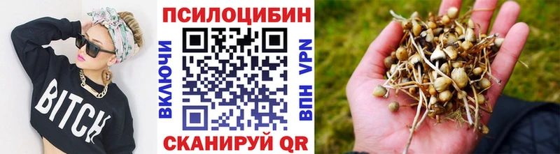 Псилоцибиновые грибы Cubensis  где купить наркоту  Поронайск 